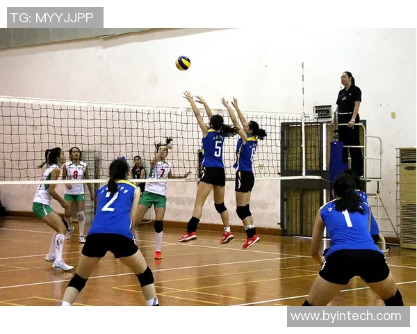 体育实时数据排球装备选购指南：如何选择适合的球鞋提升你的比赛表现